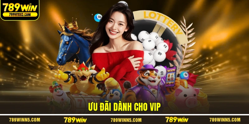 Ưu đãi dành cho VIP